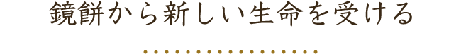 鏡餅から新しい生命を受ける